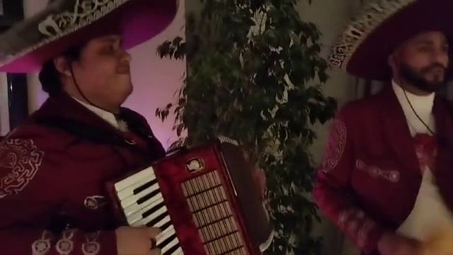 Мексиканское шоу Mariachi Mexico в Москве, Санкт-Петербурге и Ростове-на-Дону