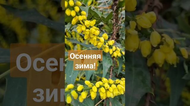 Наблюдай! Всё вокруг для тебя!#эмпат #любовь #эмоции