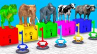 ЖИВОТНЫЕ|Яркие ЦВЕТА |
Животные для детей ¦ Учим Домашних Животных ¦ 3Д Анимация ¦ Учим Цвета