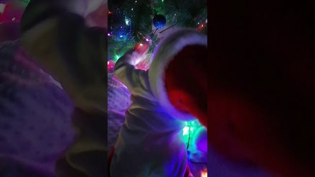 Первый Новый год Кирилла🎄✨ #изархива
#врекомендации #детицветыжизни #сыноклюбимый