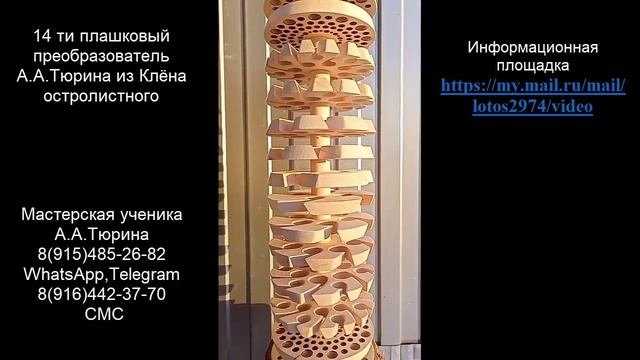 14ти плашковый преобразователь А.Тюрина из старого Клёна остролистного )))