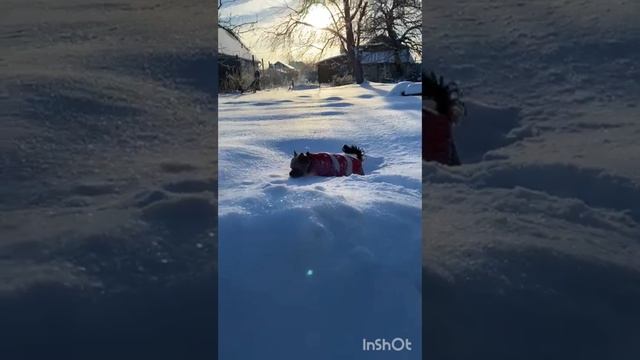 1000009836.mp4