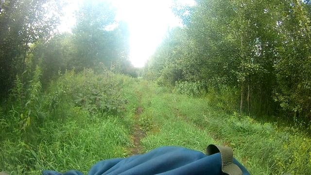 В леса за Юргу. День 4-й. Часть2