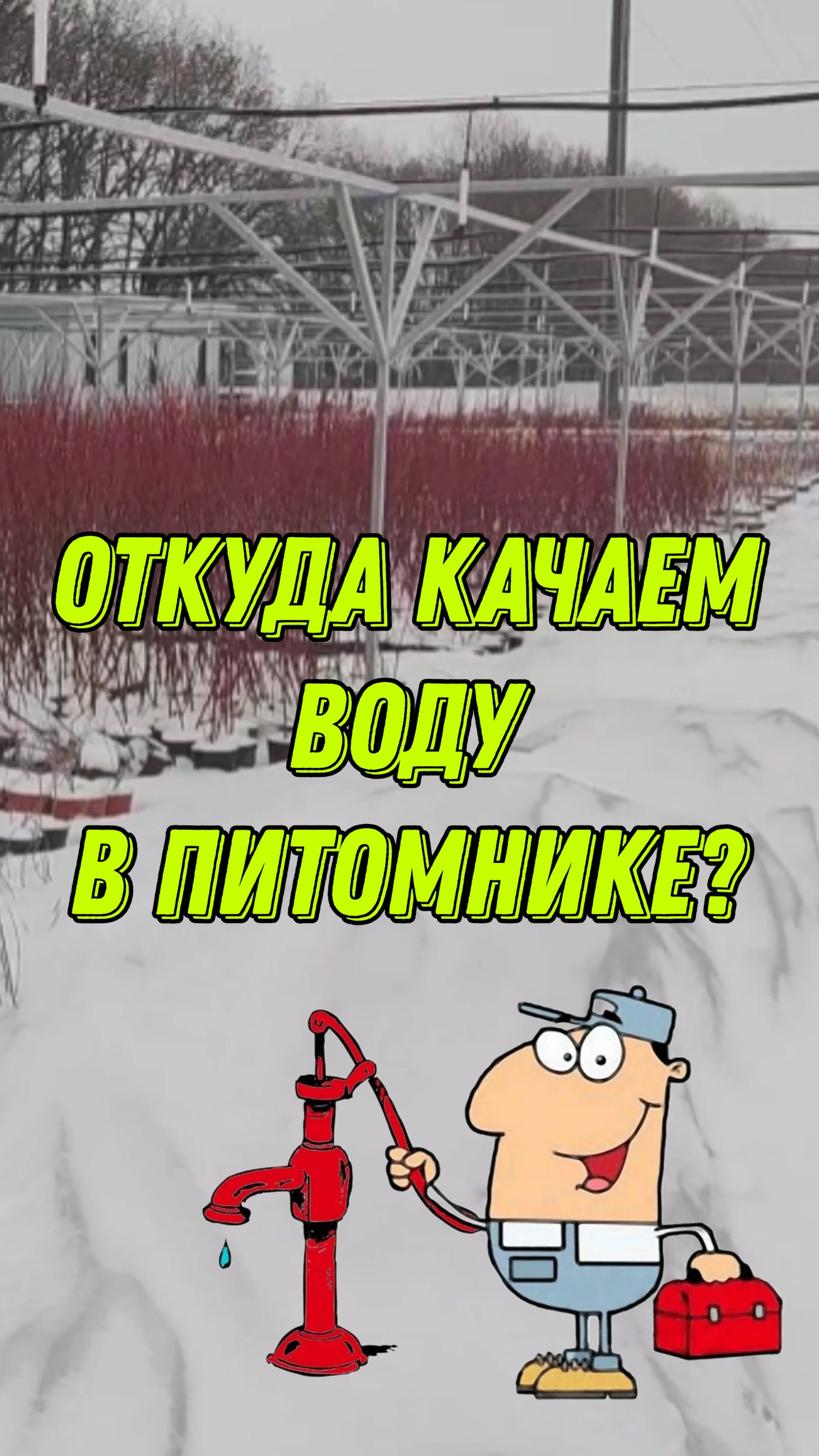 Откуда КАЧАЕМ воду для полива? Выкачиваем из...