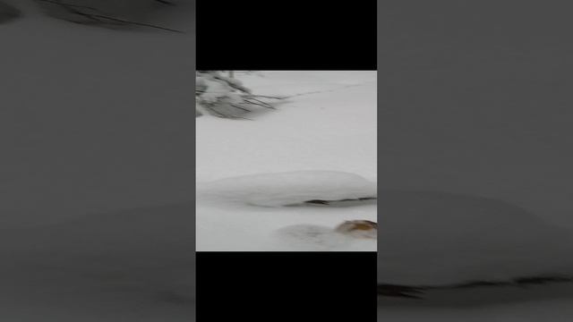 1000016431.mp4