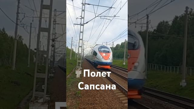 Сапсан, Мстинский Мост–Торбино #железнаядорога #train #октжд #railway #trainspotting #сапсан #поезд