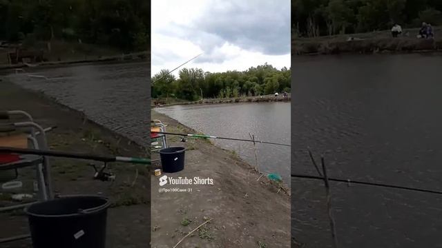 СЕМЕЙНОЕ СЧАСТЬЕ 🤗