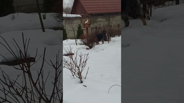 Наконец дождалась!
