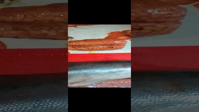 VID_20241222_182609.mp4