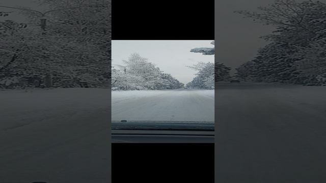 Сосновоборск Заводская улица