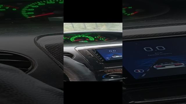 VID_20241117_134819