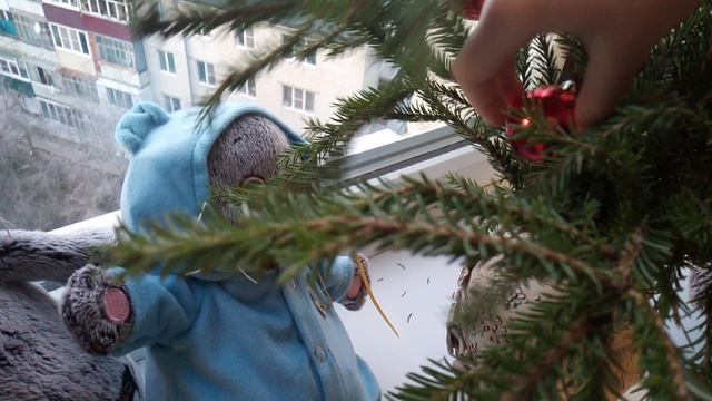 Наряжаем ёлку! 🎄🎄🎄🎄