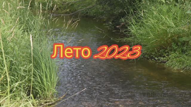 Маленькая река с мальком плотвы  2023 года.