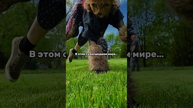 Зарабатываем по ссылке в шапке 👆