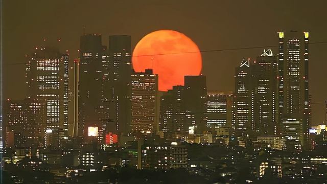 １９９４　ＦＥＥＬＩＮＧ // Synthwave, Dreamwave, Vaporwave, Chillsynth