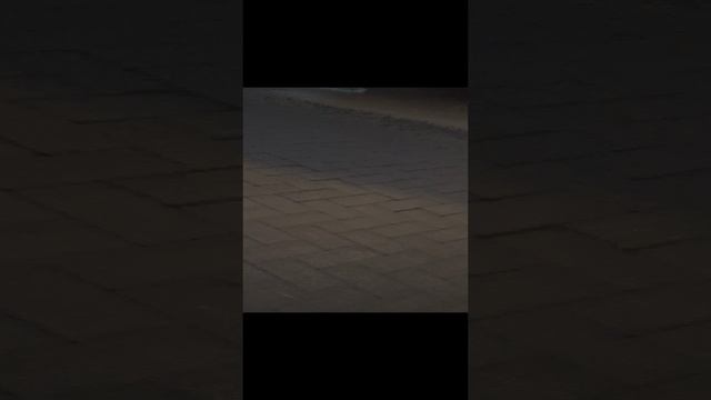 Белгород центр 2