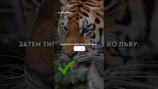 Когда невежество кричит, Ум молчит...