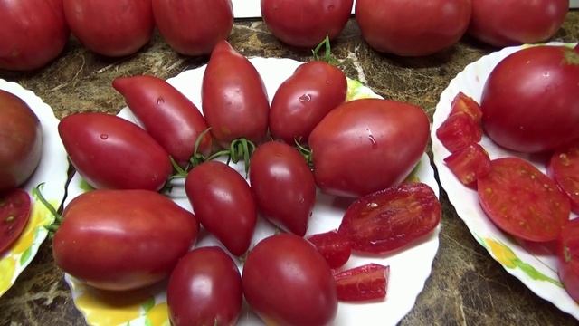 Томат Итальянский Вагнера изысканная форма плода, традиционный вкус. Обзор сорта и дегустация.