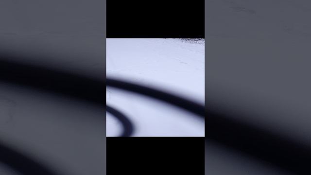 1000023113.mp4