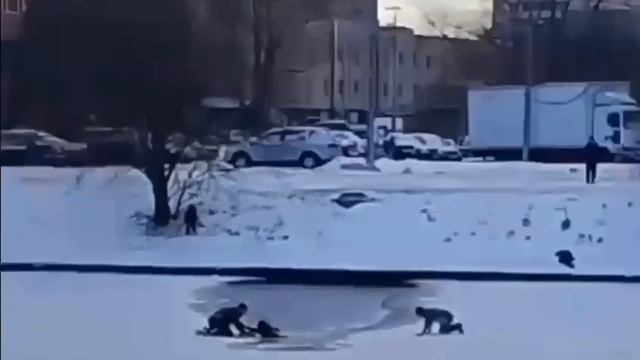 Житель Петербурга спас тонувшего в реке ребенка.