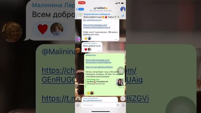 ЧАТ ЧАЙКИ