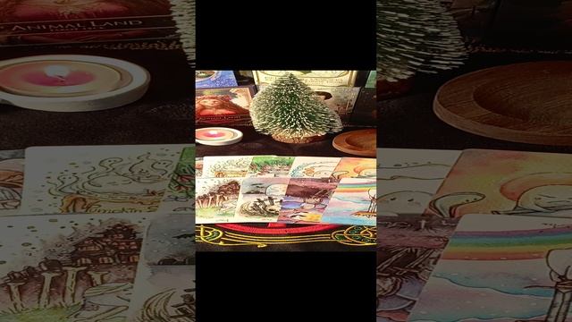 Совет на предстоящий год