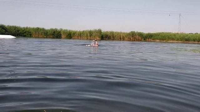 Херсон, лето...
