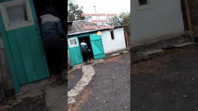 Утро в Деревне.......