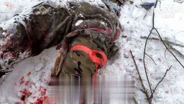 Друг в беде не бросит