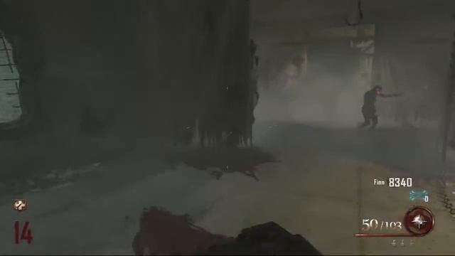 Mob of The Dead Building  plane +Acid Gat