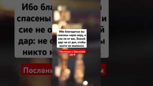 1000004519.mp4