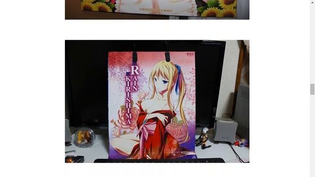201289幼女「なんであの人おっぱいマ◯コの出た袋もってんの？」コミケに地元住民困惑