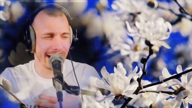 С.Павлиашвили - Радовать. Кавер Али Ельский