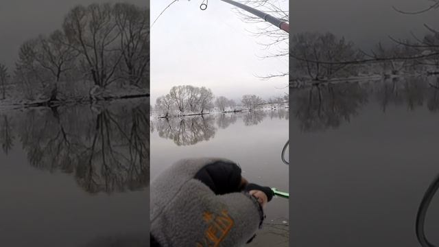 БОНУСНЫЙ СУДАК.