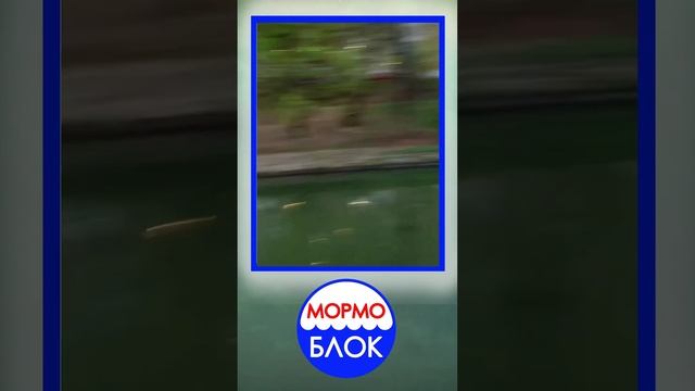 Весенний карась!) уже скоро… Мормышинг рулит #8