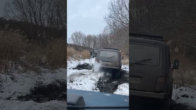 Нивааасик
