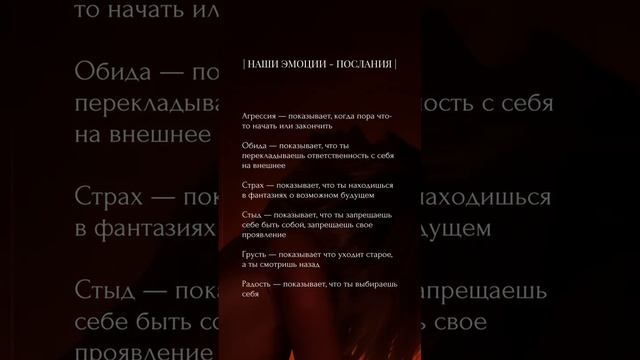 Как часто в течение дня ты испытываешь чистую, ничем не замутненную радость?