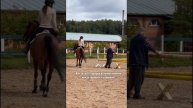 Читай пост в ленте и подписывайся @Equitrip #конныйспорт #лошади #конники #конныйтренер