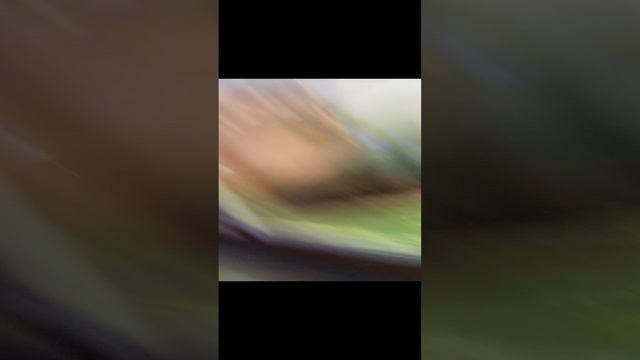 1000010654.mp4