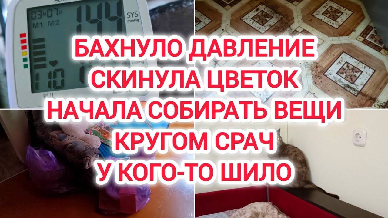 VLOG | БАХНУЛО ДАВЛЕНИЕ | СКИНУЛА ЦВЕТОК | НАЧАЛА СОБИРАТЬ ВЕЩИ | КРУГОМ СРАЧ | У КОГО-ТО ШИЛО
