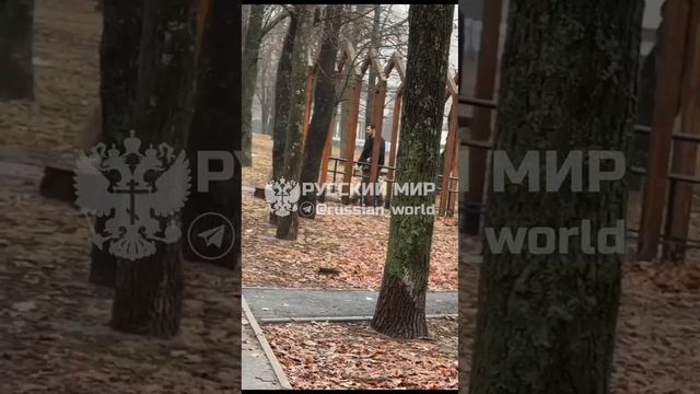 ИнородеЦ в Старом Осколе Белгородская область ходит за школьницами и внаглую снимает их под юбками.