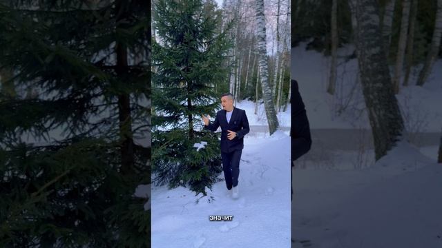 Предновогодний лес #shorts #ведущий #ведущийнакорпоратив #ведущийстендап