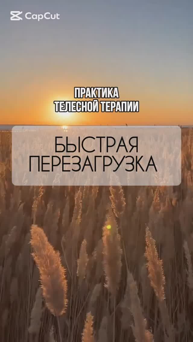 Практика телесной терапии "Быстрая перезагрузка"
#женскоездоровье#тело#телеснаятерапия#перезагрузка