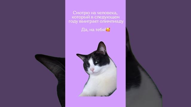 Поступаешь на журфак? Подписывайся, чтобы выиграть олимпиаду и сдать ДВИ на 100 💜