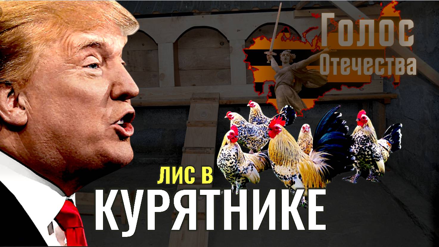 Лис в курятнике - Дмитрий Дайнатович