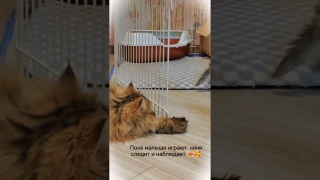 Наши малыши❤