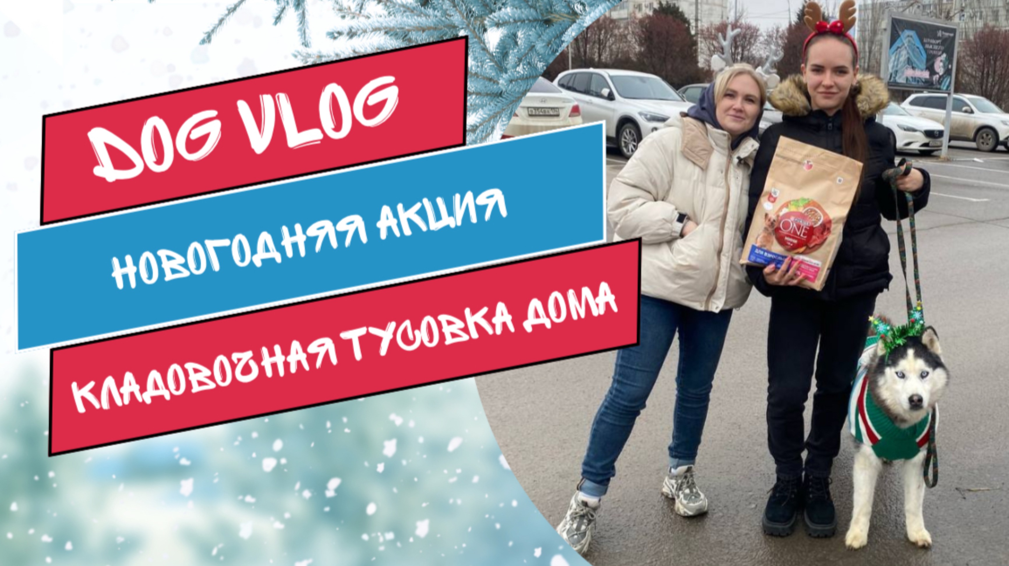 DOG VLOG: Новогодняя акция. Вся кладовочная тусовка дома.