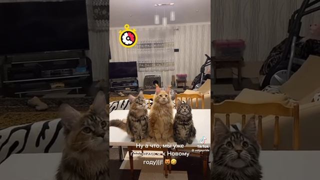 Готовимся к новому году