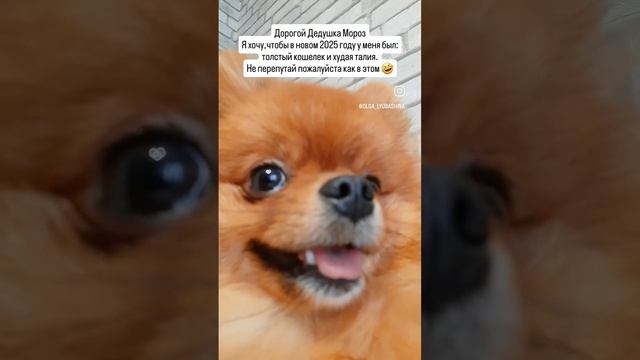 1000255696.mp4