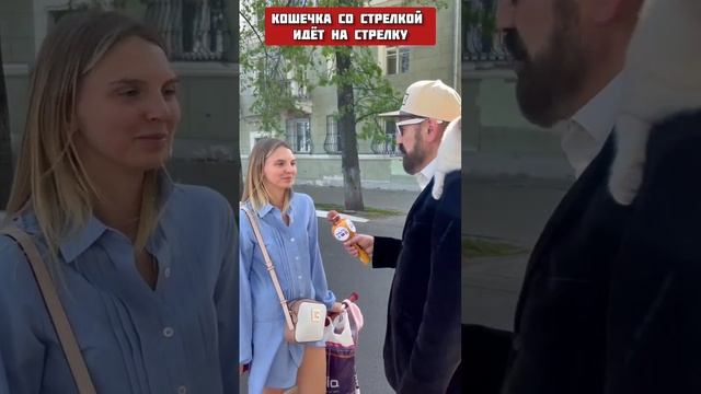 Пенка- кошка со стрелкой идёт на стрелку (река Которосль впадает в Волгу)